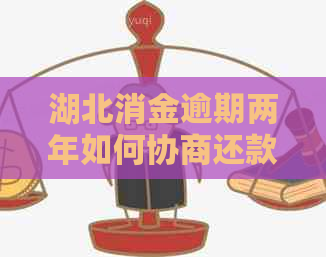 湖北消金逾期两年如何协商还款