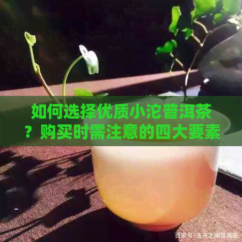 如何选择优质小沱普洱茶？购买时需注意的四大要素