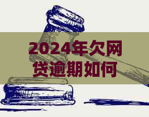 2024年欠网贷逾期如何处理