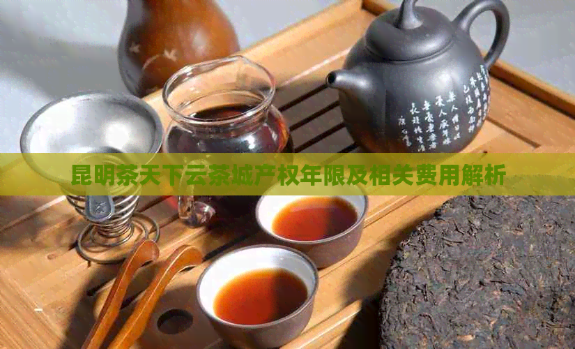 昆明茶天下云茶城产权年限及相关费用解析