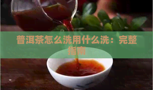 普洱茶怎么洗用什么洗：完整指南