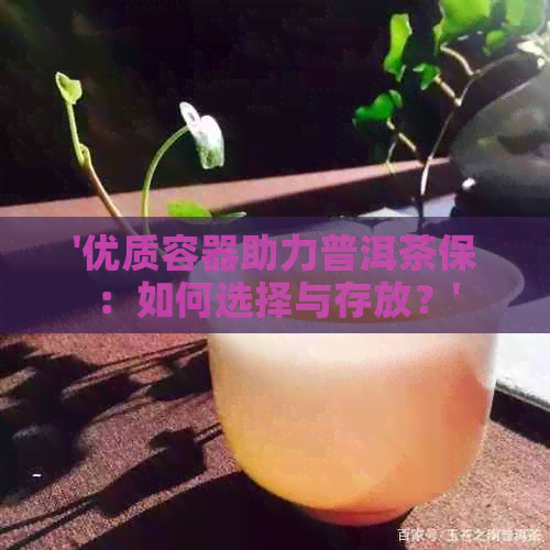 '优质容器助力普洱茶保：如何选择与存放？'