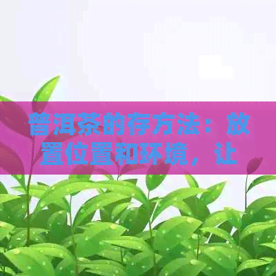 普洱茶的存方法：放置位置和环境，让你的茶叶保持品质