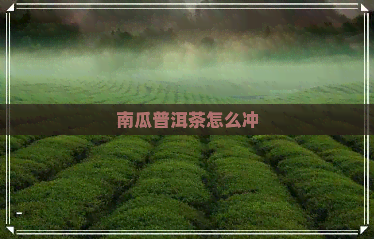 南瓜普洱茶怎么冲