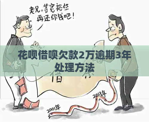 花呗借呗欠款2万逾期3年处理方法