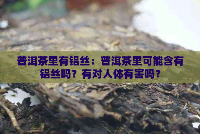 普洱茶里有铝丝：普洱茶里可能含有铝丝吗？有对人体有害吗？