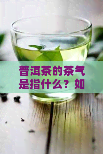 普洱茶的茶气是指什么？如何品味普洱茶的香气？