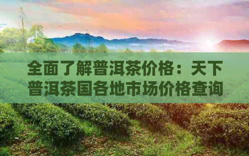 全面了解普洱茶价格：天下普洱茶国各地市场价格查询与比较