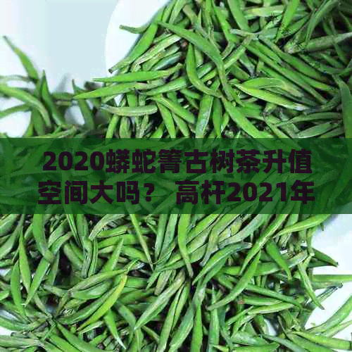 2020蟒蛇箐古树茶升值空间大吗？ 高杆2021年蟒蛇箐古树茶表现如何？