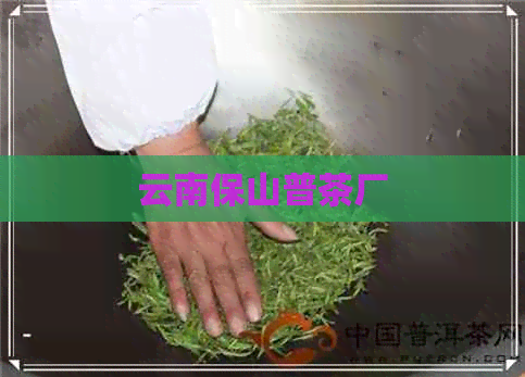 云南保山普茶厂