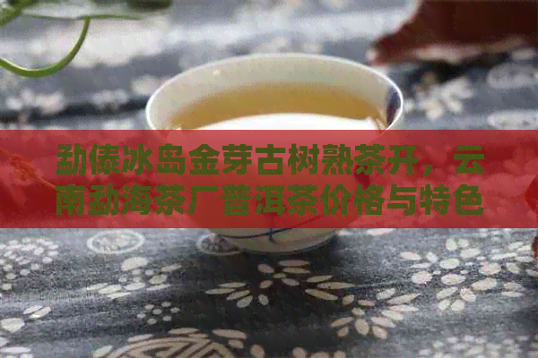 勐傣冰岛金芽古树熟茶开，云南勐海茶厂普洱茶价格与特色解析