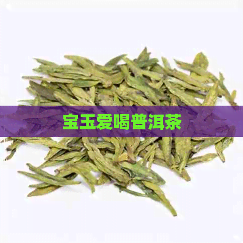 宝玉爱喝普洱茶