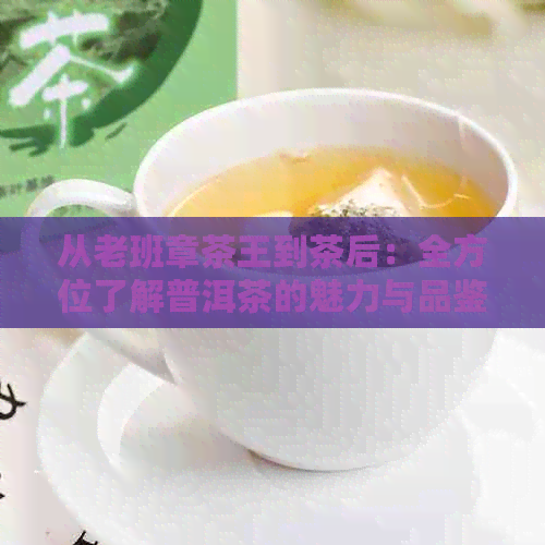 从老班章茶王到茶后：全方位了解普洱茶的魅力与品鉴方法