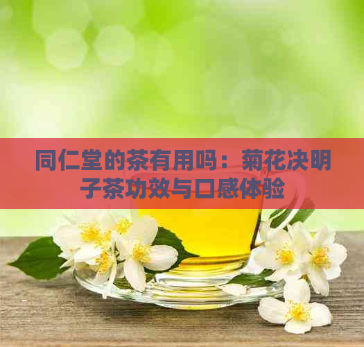 同仁堂的茶有用吗：菊花决明子茶功效与口感体验