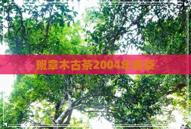 班章木古茶2004年春茶