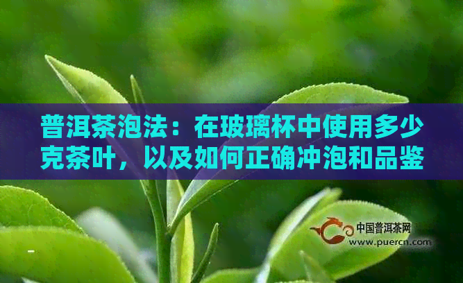 普洱茶泡法：在玻璃杯中使用多少克茶叶，以及如何正确冲泡和品鉴普洱茶