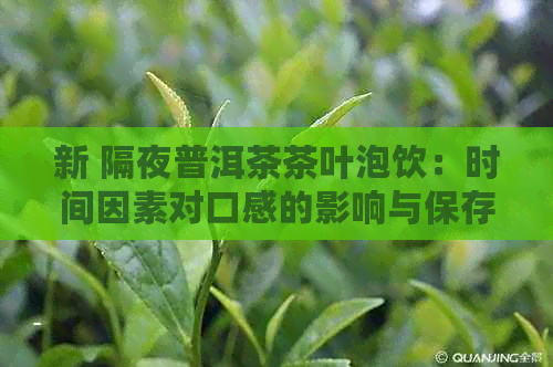 新 隔夜普洱茶茶叶泡饮：时间因素对口感的影响与保存策略