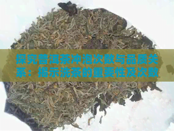 探究普洱茶冲泡次数与品质关系：揭示洗茶的重要性及次数