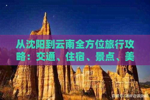 从沈阳到云南全方位旅行攻略：交通、住宿、景点、美食一应俱全