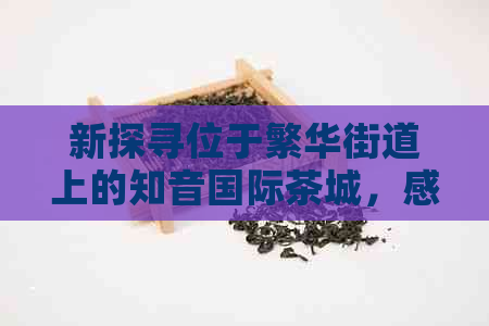 新探寻位于繁华街道上的知音国际茶城，感受茶文化与现代生活的交融