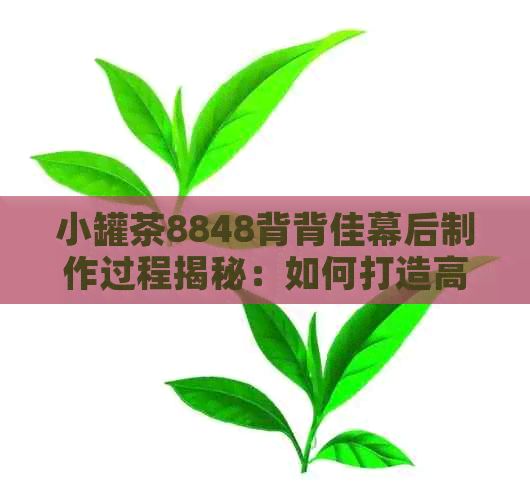 小罐茶8848背背佳幕后制作过程揭秘：如何打造高品质产品的背后故事