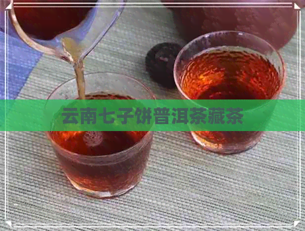 云南七子饼普洱茶藏茶