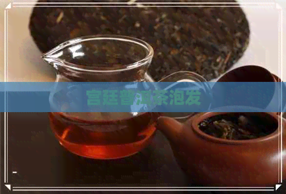 宫廷普洱茶泡发