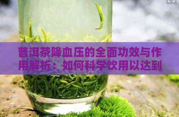 普洱茶降血压的全面功效与作用解析：如何科学饮用以达到效果