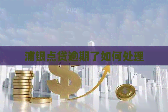 浦银点贷逾期了如何处理