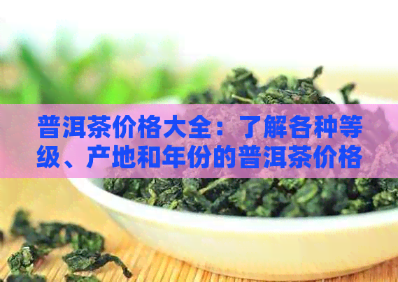 普洱茶价格大全：了解各种等级、产地和年份的普洱茶价格，找到最适合您的茶