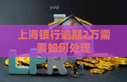 上海银行逾期2万需要如何处理