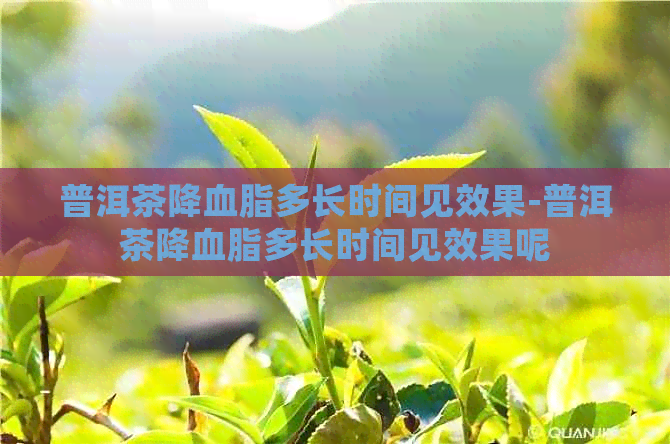 普洱茶降血脂多长时间见效果-普洱茶降血脂多长时间见效果呢