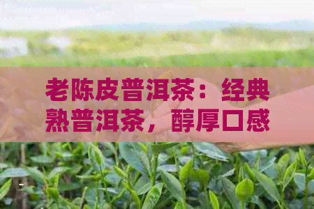 老陈皮普洱茶：经典熟普洱茶，醇厚口感与岁月沉淀的完美融合