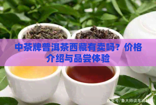 中茶牌普洱茶     有卖吗？价格介绍与品尝体验