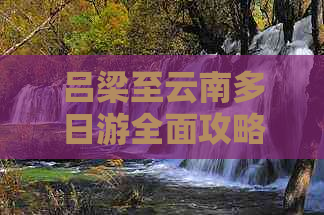 吕梁至云南多日游全面攻略：推荐更佳旅游线路、住宿及美食，让你畅游两地