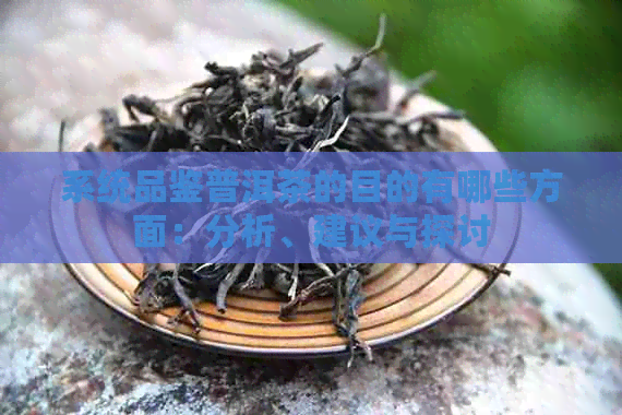 系统品鉴普洱茶的目的有哪些方面：分析、建议与探讨