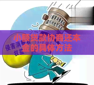 小额贷款协商还本金的具体方法