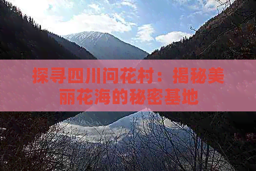 探寻四川问花村：揭秘美丽花海的秘密基地