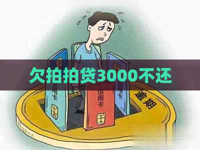 欠3000不还