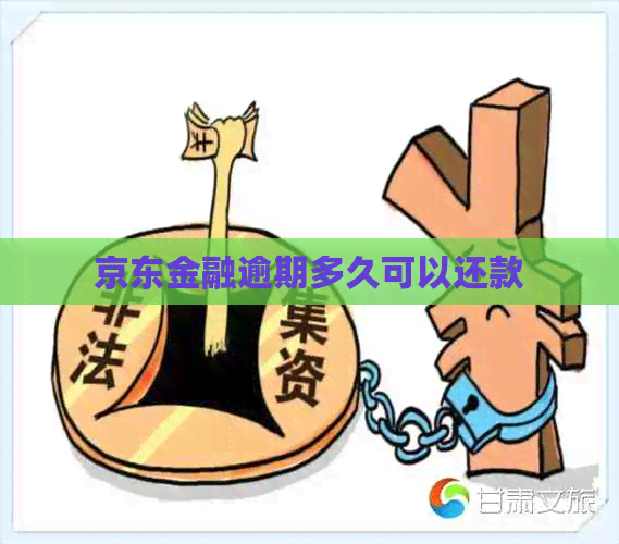 京东金融逾期多久可以还款