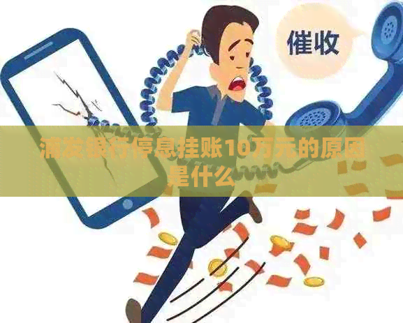 浦发银行停息挂账10万元的原因是什么