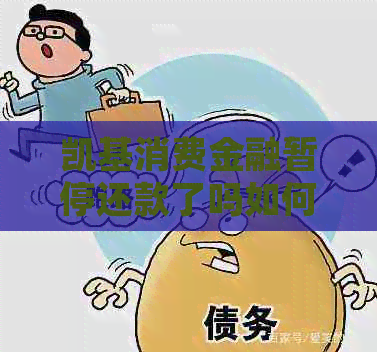 凯基消费金融暂停还款了吗如何处理