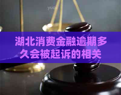 湖北消费金融逾期多久会被起诉的相关问题解答