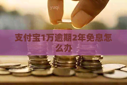 支付宝1万逾期2年免息怎么办