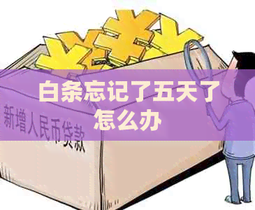 白条忘记了五天了怎么办