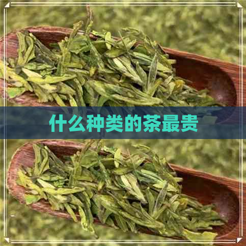 什么种类的茶最贵