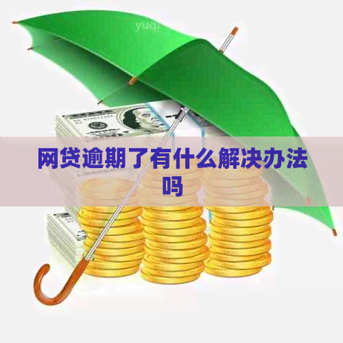 网贷逾期了有什么解决办法吗