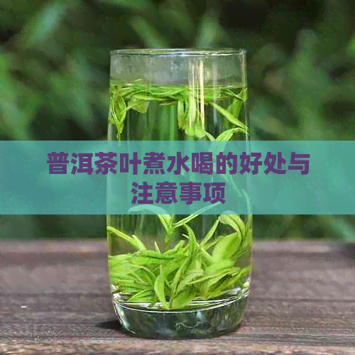 普洱茶叶煮水喝的好处与注意事项