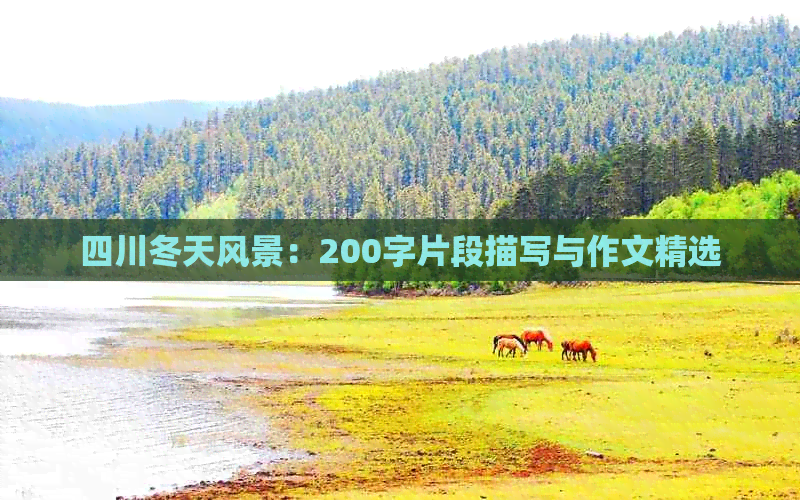 四川冬天风景：200字片段描写与作文精选