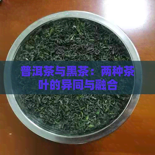 普洱茶与黑茶：两种茶叶的异同与融合